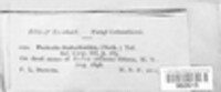 Image Associated With the Occurence